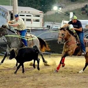 Meet your Posher, Cody